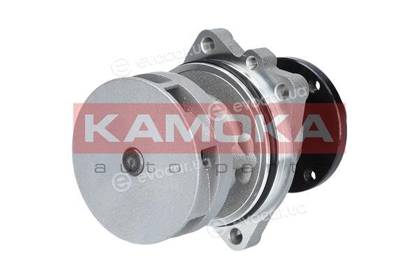 Kamoka T0058