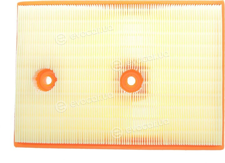 Solgy 103134