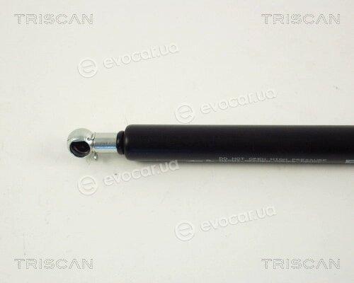 Triscan 8710 29262