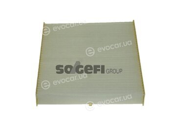 Coopers Fiaam PC8367