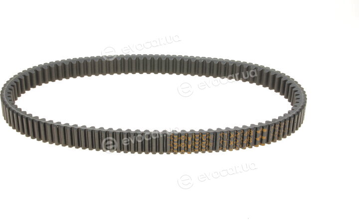 Dayco XTX2248