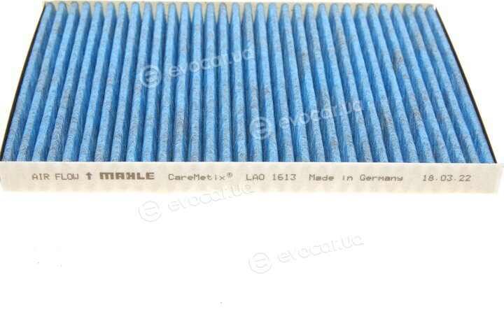 Mahle LAO 1613