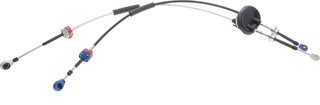 AIC 58955