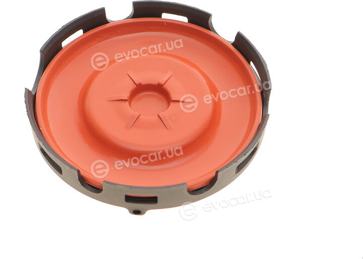 Bogap A1116104