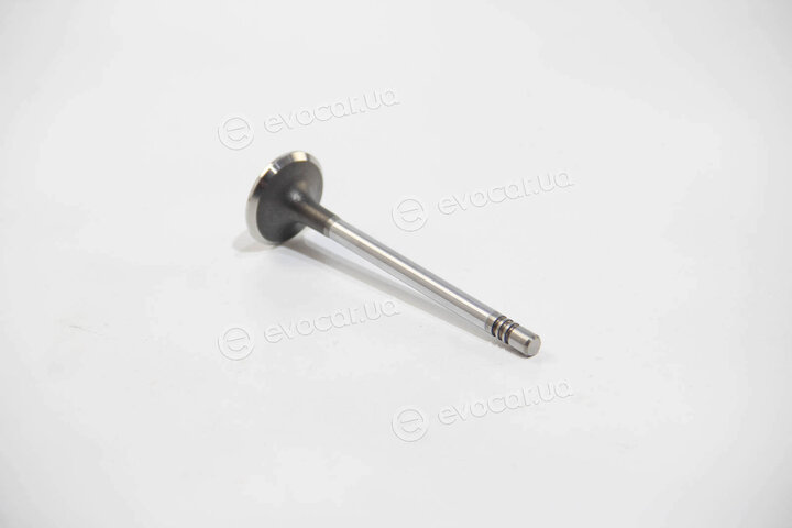 BGA V164660