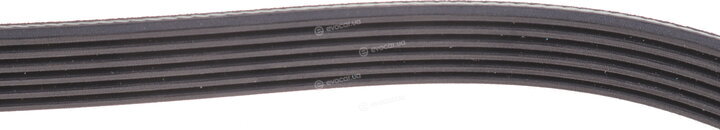 Dayco 6PK1250HD
