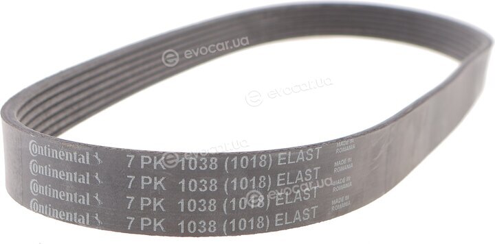 Continental 7PK1038ELAST