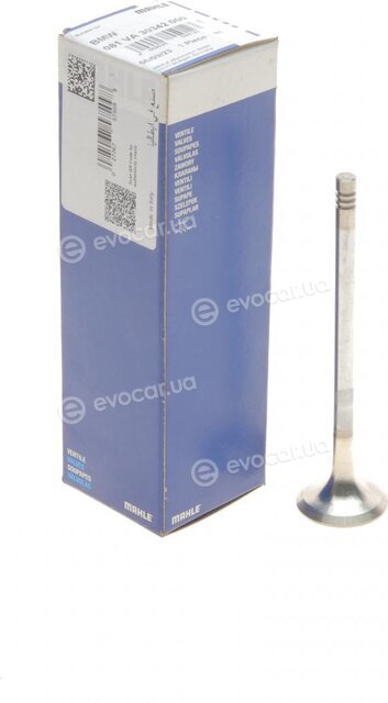 Mahle 081 VA 30342 000