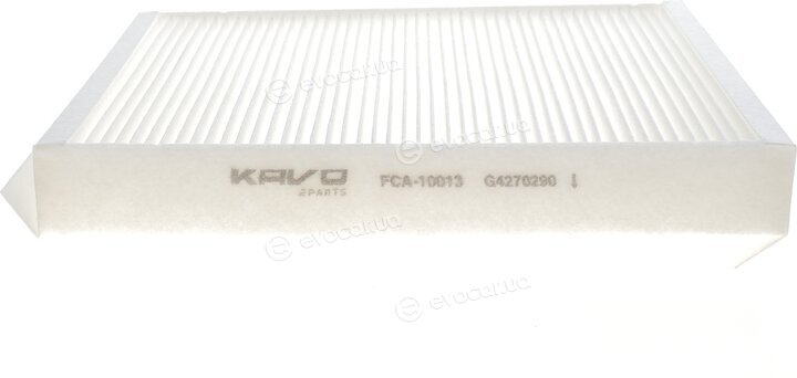 AMC FCA-10013