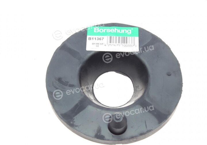 Borsehung B11367