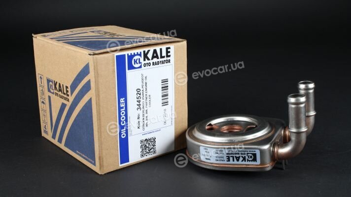 Kale 344520