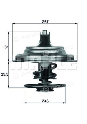 Mahle BTX 23 79D