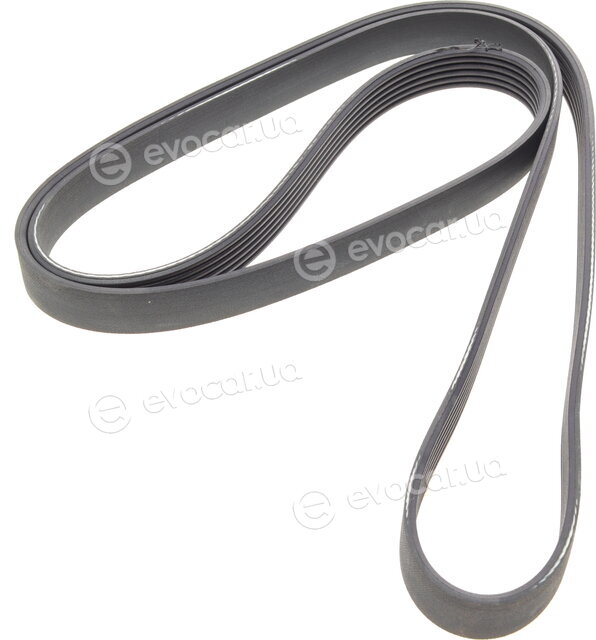Dayco 6PK1733