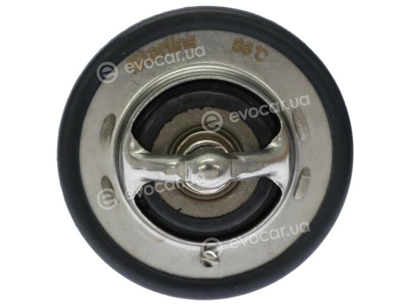 Starline TS T113.88T