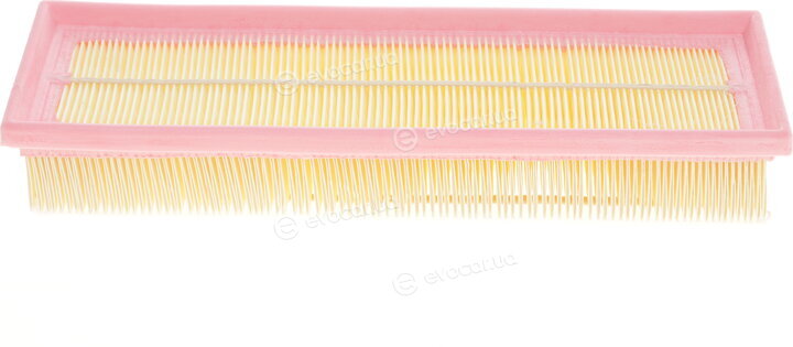 Solgy 103072