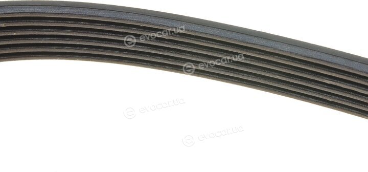 Dayco 6PK1700