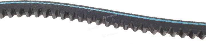 Hutchinson AV 10 La 785