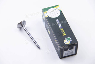 BGA V163720