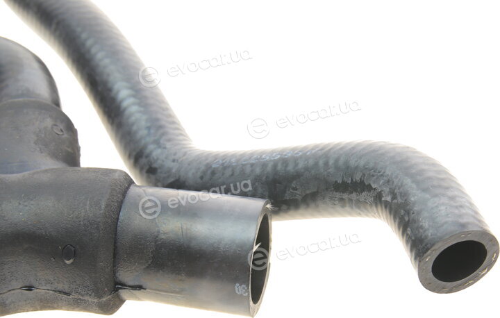 Gates 05-3160