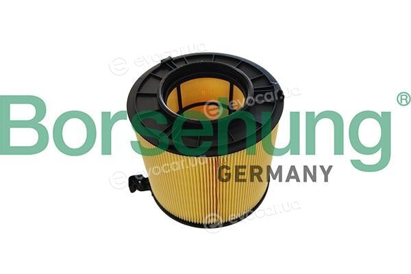 Borsehung B13067