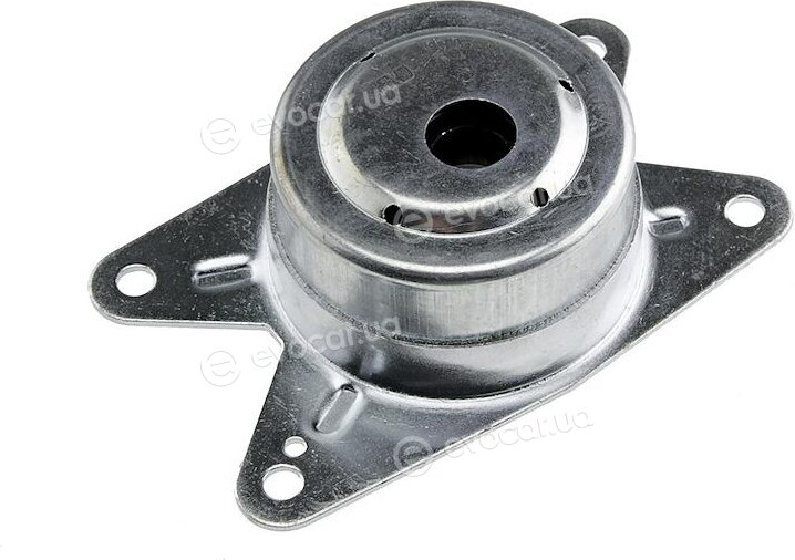 NTY ZPS-PL-009