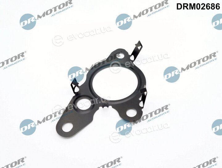 Dr. Motor DRM02686