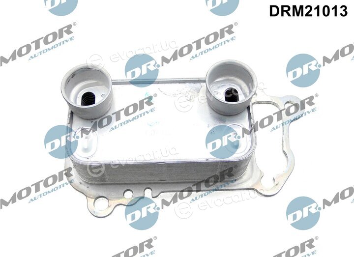 Dr. Motor DRM21013