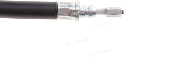 Solgy 219041