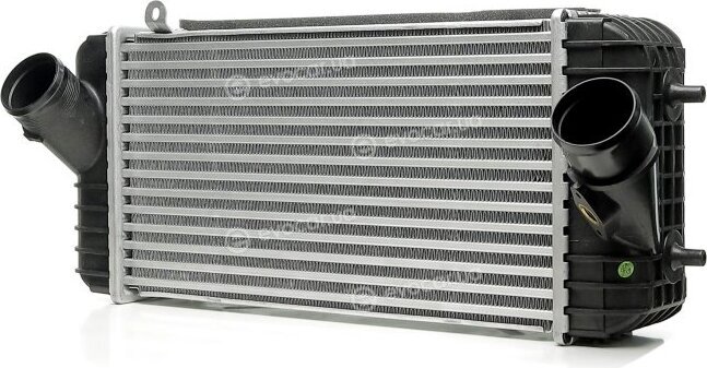 NRF 309066