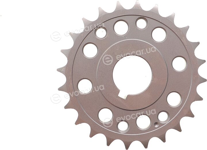 Motive TCK318