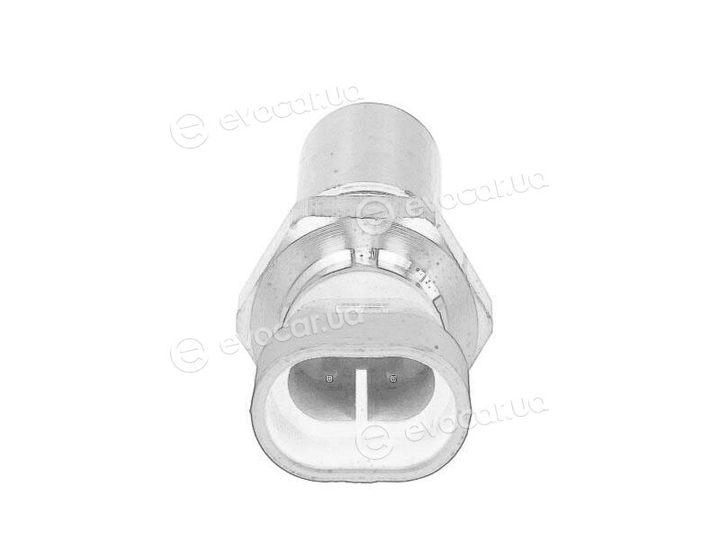 Mopar (PSA / FCA) 55236305