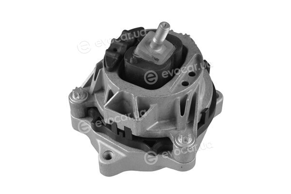 Tedgum TED91713