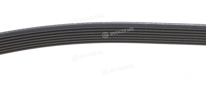 Dayco 7PK1385