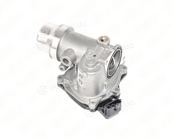 Renault / Nissan 161A09794R