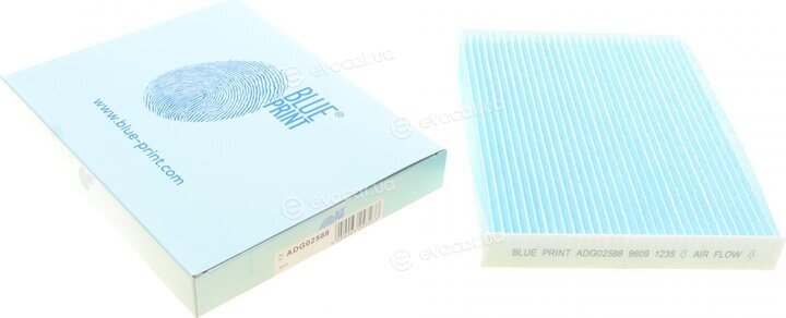 Blue Print ADG02588