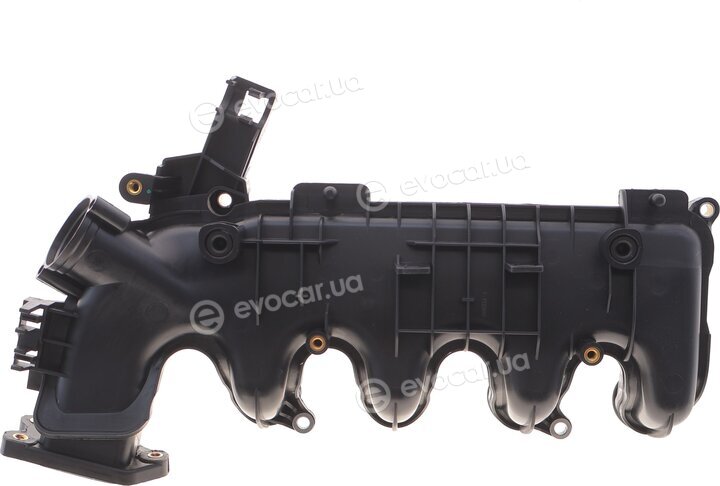 Solgy 114276
