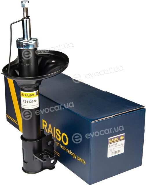 Raiso RS313529