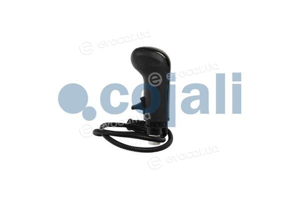 Cojali 2880267