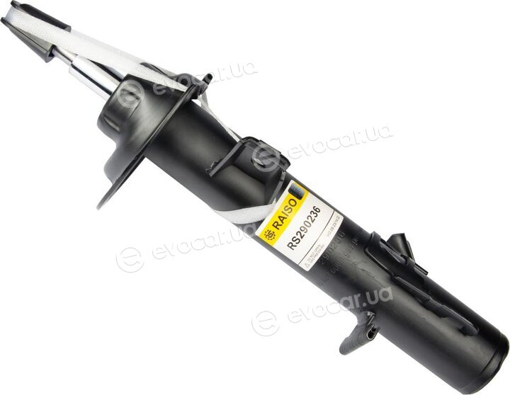 Raiso RS290236
