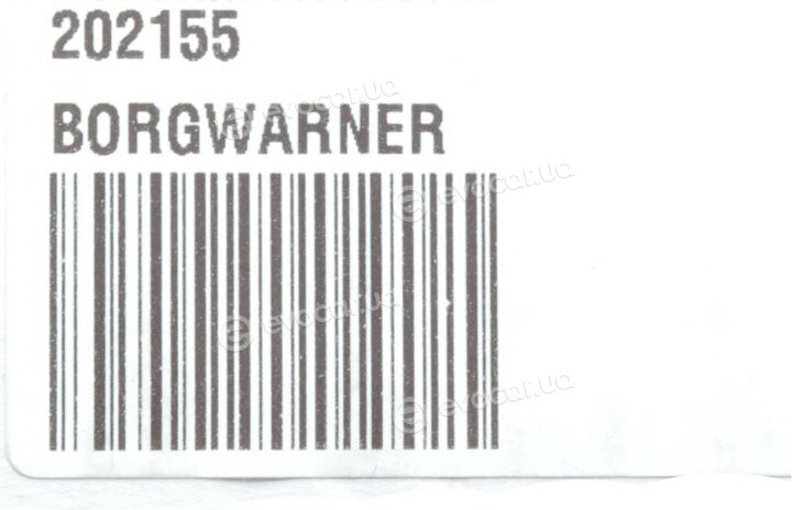 BorgWarner 202155