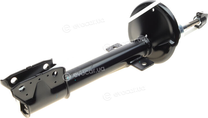 Solgy 211157