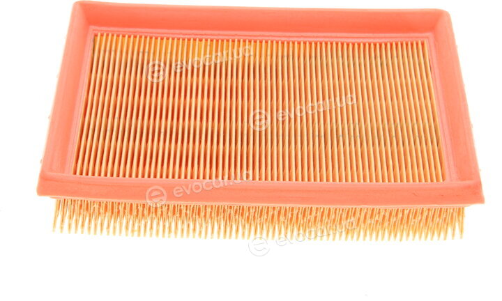Mann C 17 008