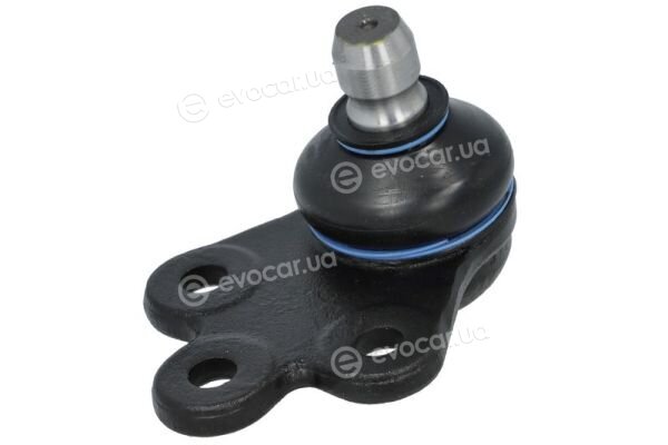 Reinhoch RH03-6011