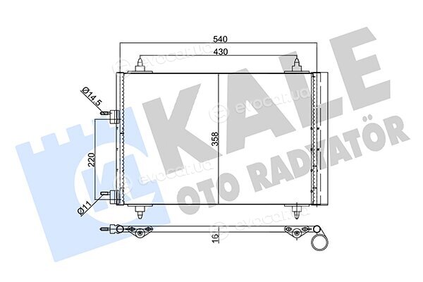 Kale 343095