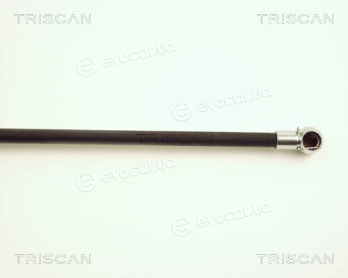 Triscan 8710 25220