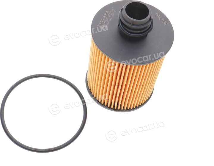 Solgy 101062
