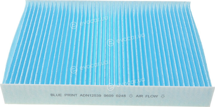 Blue Print ADN12539