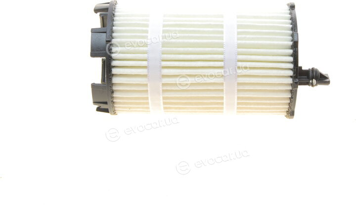 Borsehung B10517