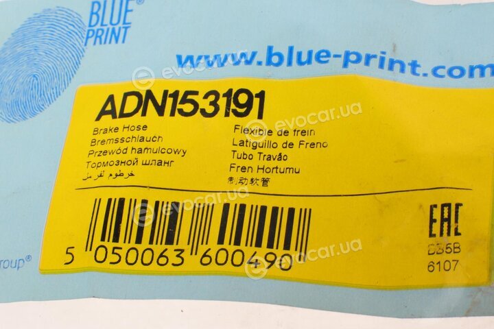 Blue Print ADN153191