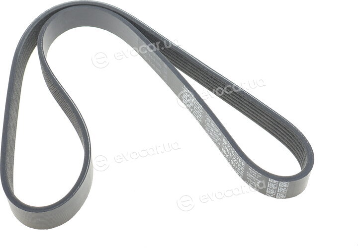 Dayco 6PK1027EE
